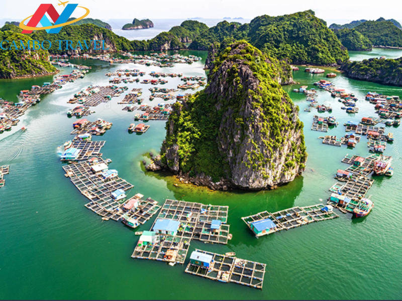 TOUR HANOI - HA LONG BAY - SA PA - SAIGON - TAY NINH 4 STARS